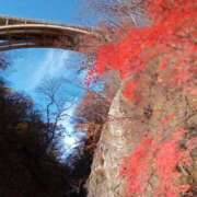 ヒメ日記 2025/11/15 15:34 投稿 きんぎょ 熟女の風俗最終章 仙台店