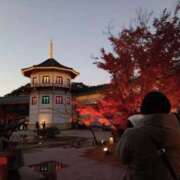 ヒメ日記 2025/11/23 21:02 投稿 きんぎょ 熟女の風俗最終章 仙台店