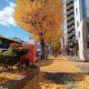 ヒメ日記 2025/11/29 11:28 投稿 きんぎょ 熟女の風俗最終章 仙台店