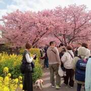 ヒメ日記 2026/03/07 18:22 投稿 きんぎょ 熟女の風俗最終章 仙台店