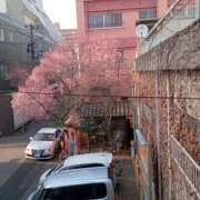 ヒメ日記 2026/03/28 18:36 投稿 きんぎょ 熟女の風俗最終章 仙台店