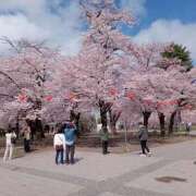ヒメ日記 2026/04/06 10:36 投稿 きんぎょ 熟女の風俗最終章 仙台店