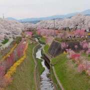 ヒメ日記 2026/04/25 15:24 投稿 きんぎょ 熟女の風俗最終章 仙台店