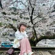 ヒメ日記 2025/04/07 11:04 投稿 澪川さつき お姉さんCLUB