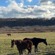 ヒメ日記 2025/11/17 17:19 投稿 澪川さつき お姉さんCLUB