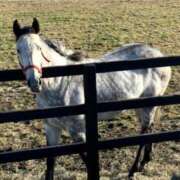 ヒメ日記 2025/11/24 20:57 投稿 澪川さつき お姉さんCLUB