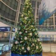 ヒメ日記 2025/12/10 00:19 投稿 澪川さつき お姉さんCLUB