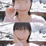 ヒメ日記 2026/04/08 20:20 投稿 澪川さつき お姉さんCLUB