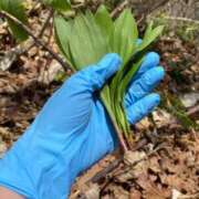 ヒメ日記 2026/04/14 23:27 投稿 澪川さつき お姉さんCLUB