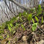 ヒメ日記 2026/04/17 12:34 投稿 澪川さつき お姉さんCLUB