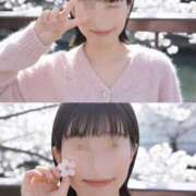 ヒメ日記 2026/04/20 22:19 投稿 澪川さつき お姉さんCLUB