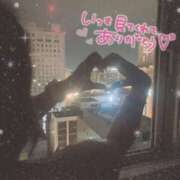 ヒメ日記 2025/07/15 23:09 投稿 ひかる シークレットサービス