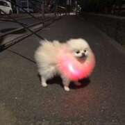 ヒメ日記 2025/02/06 17:08 投稿 舞-まい 熟女10000円デリヘル横浜