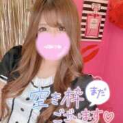 ヒメ日記 2024/12/22 02:06 投稿 夜風あくあ 厚木OL委員会