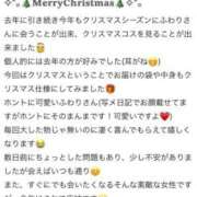 ヒメ日記 2024/12/25 14:46 投稿 ふわり Picasso(ピカソ)