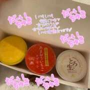 ヒメ日記 2025/01/15 11:06 投稿 ふわり Picasso(ピカソ)