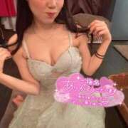 ヒメ日記 2025/01/16 11:08 投稿 ふわり Picasso(ピカソ)