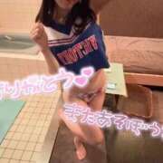 ヒメ日記 2025/01/21 11:17 投稿 ふわり Picasso(ピカソ)