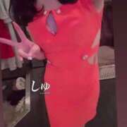 ヒメ日記 2025/02/07 15:37 投稿 ふわり Picasso(ピカソ)