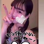 ヒメ日記 2025/02/11 16:07 投稿 ふわり Picasso(ピカソ)