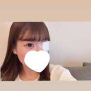 ヒメ日記 2025/02/24 18:46 投稿 ふわり Picasso(ピカソ)