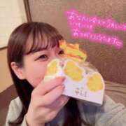 ヒメ日記 2025/02/28 11:23 投稿 ふわり Picasso(ピカソ)