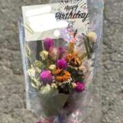 ヒメ日記 2025/02/28 18:17 投稿 ふわり Picasso(ピカソ)