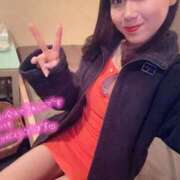 ヒメ日記 2025/03/02 10:56 投稿 ふわり Picasso(ピカソ)