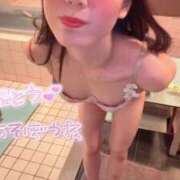 ヒメ日記 2025/03/02 11:20 投稿 ふわり Picasso(ピカソ)