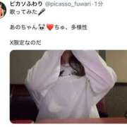 ヒメ日記 2025/03/08 14:19 投稿 ふわり Picasso(ピカソ)