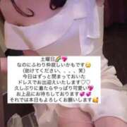 ヒメ日記 2025/03/29 15:28 投稿 ふわり Picasso(ピカソ)