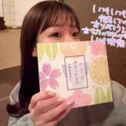 ヒメ日記 2025/03/31 09:16 投稿 ふわり Picasso(ピカソ)