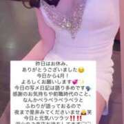 ヒメ日記 2025/04/01 15:36 投稿 ふわり Picasso(ピカソ)