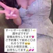 ヒメ日記 2025/04/02 15:26 投稿 ふわり Picasso(ピカソ)