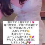 ヒメ日記 2025/04/05 15:29 投稿 ふわり Picasso(ピカソ)