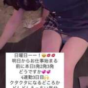 ヒメ日記 2025/04/06 15:26 投稿 ふわり Picasso(ピカソ)