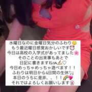 ヒメ日記 2025/04/09 15:36 投稿 ふわり Picasso(ピカソ)