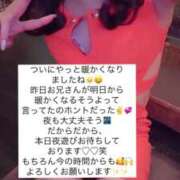 ヒメ日記 2025/04/16 15:24 投稿 ふわり Picasso(ピカソ)