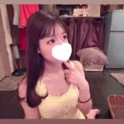 ヒメ日記 2025/04/18 18:46 投稿 ふわり Picasso(ピカソ)