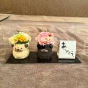 ヒメ日記 2025/04/19 19:46 投稿 ふわり Picasso(ピカソ)