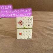 ヒメ日記 2025/04/21 09:06 投稿 ふわり Picasso(ピカソ)