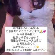 ヒメ日記 2025/04/24 15:36 投稿 ふわり Picasso(ピカソ)