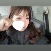 ヒメ日記 2025/04/24 17:17 投稿 ふわり Picasso(ピカソ)