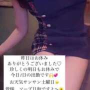 ヒメ日記 2025/04/26 15:36 投稿 ふわり Picasso(ピカソ)