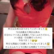 ヒメ日記 2025/04/28 15:36 投稿 ふわり Picasso(ピカソ)