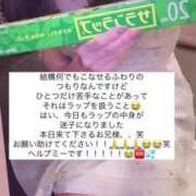 ヒメ日記 2025/04/30 15:28 投稿 ふわり Picasso(ピカソ)