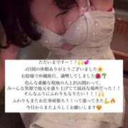 ヒメ日記 2025/05/07 15:36 投稿 ふわり Picasso(ピカソ)