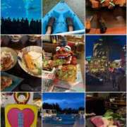 ヒメ日記 2025/05/07 17:46 投稿 ふわり Picasso(ピカソ)