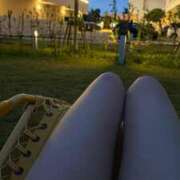 ヒメ日記 2025/05/08 18:46 投稿 ふわり Picasso(ピカソ)