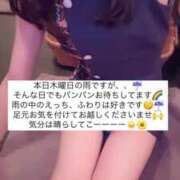 ヒメ日記 2025/05/09 15:47 投稿 ふわり Picasso(ピカソ)